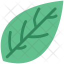 پیش‌نمایش فایل leaf-516 از پک مجموعه آیکن میوه و سبزیجات