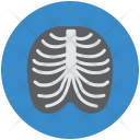 پیش‌نمایش فایل human-ribs از پک مجموعه آیکن وکتور پزشکی