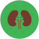 پیش‌نمایش فایل kidneys-54 از پک مجموعه آیکن وکتور پزشکی