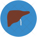 پیش‌نمایش فایل liver-59 از پک مجموعه آیکن وکتور پزشکی