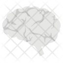 پیش‌نمایش فایل human-brain-35 از پک مجموعه آیکن تخت پزشکی و سلامت – شماره ۲