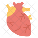 پیش‌نمایش فایل human-heart از پک مجموعه آیکن تخت پزشکی و سلامت – شماره ۲