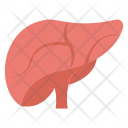 پیش‌نمایش فایل liver-63 از پک مجموعه آیکن تخت پزشکی و سلامت – شماره ۲