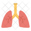 پیش‌نمایش فایل lungs-122 از پک مجموعه آیکن تخت پزشکی و سلامت – شماره ۲