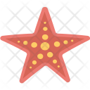 پیش‌نمایش فایل starfish-95 از پک مجموعه آیکن تخت سفر و تعطیلات – شماره ۲