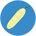 پیش‌نمایش فایل bitter-gourd-15 از پک Fruits And Vegetables 