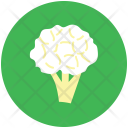 پیش‌نمایش فایل cauliflower-49 از پک Fruits And Vegetables 