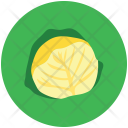 پیش‌نمایش فایل cauliflower-51 از پک Fruits And Vegetables 