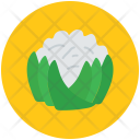 پیش‌نمایش فایل cauliflower-53 از پک Fruits And Vegetables 