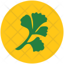پیش‌نمایش فایل parsley-6 از پک Fruits And Vegetables 