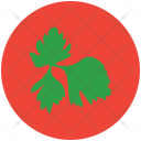 پیش‌نمایش فایل parsley-7 از پک Fruits And Vegetables 
