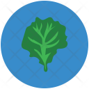 پیش‌نمایش فایل spinach-30 از پک Fruits And Vegetables 