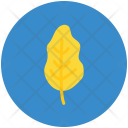 پیش‌نمایش فایل spinach-32 از پک Fruits And Vegetables 