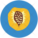 پیش‌نمایش فایل apricot-30 از پک Fruits And Vegetables 