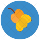 پیش‌نمایش فایل grapes-194 از پک Fruits And Vegetables 