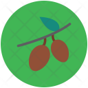 پیش‌نمایش فایل litchi-15 از پک Fruits And Vegetables 