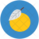 پیش‌نمایش فایل orange-325 از پک Fruits And Vegetables 