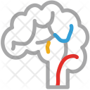 پیش‌نمایش فایل brain-488 از پک Science  