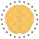 پیش‌نمایش فایل human-brain-41 از پک هنر و طراحی