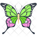 پیش‌نمایش Butterflies 