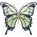پیش‌نمایش Butterflies 