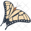 پیش‌نمایش Butterflies 