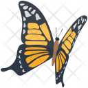 پیش‌نمایش Butterflies 