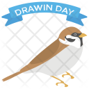 پیش‌نمایش فایل darwin-day از پک تعطیلات