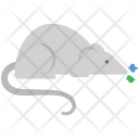 پیش‌نمایش فایل rat-62 از پک مجموعه آیکن وب عمومی