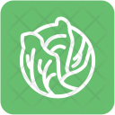پیش‌نمایش فایل cabbage-58 از پک غذا و نوشیدنی‌ها و میوه‌ها و سبزیجات