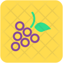 پیش‌نمایش فایل grapes-198 از پک غذا و نوشیدنی‌ها و میوه‌ها و سبزیجات