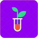 پیش‌نمایش فایل botany-experiment-10 از پک علم و تکنولوژی