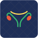 پیش‌نمایش فایل excretory-system-4 از پک Medical  