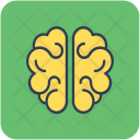 پیش‌نمایش فایل human-brain-44 از پک Medical  