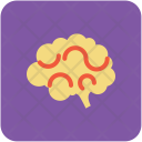 پیش‌نمایش فایل human-brain-45 از پک Medical  