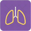 پیش‌نمایش فایل human-lungs از پک Medical  
