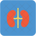 پیش‌نمایش فایل kidneys-56 از پک Medical  