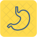 پیش‌نمایش فایل stomach-109 از پک Medical  