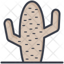 پیش‌نمایش فایل cactus-plant-3 از پک طبیعت و پارک و گیاهان و درختان