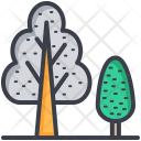 پیش‌نمایش فایل forest-195 از پک طبیعت و پارک و گیاهان و درختان