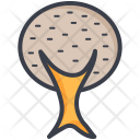پیش‌نمایش فایل shrub-tree-32 از پک طبیعت و پارک و گیاهان و درختان