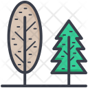 پیش‌نمایش فایل evergreen-trees-1 از پک طبیعت و پارک و گیاهان و درختان