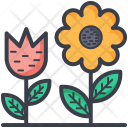 پیش‌نمایش فایل flowering-plants از پک طبیعت و پارک و گیاهان و درختان