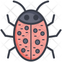 پیش‌نمایش فایل ladybird-28 از پک طبیعت و پارک و گیاهان و درختان