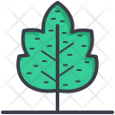 پیش‌نمایش فایل maple-leaf-20 از پک طبیعت و پارک و گیاهان و درختان