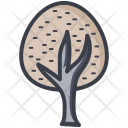 پیش‌نمایش فایل oak-tree-9 از پک طبیعت و پارک و گیاهان و درختان