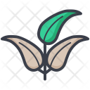 پیش‌نمایش فایل small-plant-1 از پک طبیعت و پارک و گیاهان و درختان
