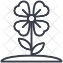 پیش‌نمایش فایل shamrock-134 از پک طبیعت و پارک و گیاهان و درختان