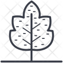 پیش‌نمایش فایل maple-leaf-21 از پک طبیعت و پارک و گیاهان و درختان