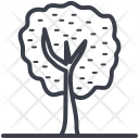 پیش‌نمایش فایل shrub-tree-44 از پک طبیعت و پارک و گیاهان و درختان